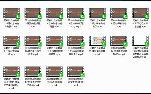 快速搭建你的企业微信商城 接入第3方系统,17集