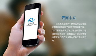 b2b2c商城系统建设方案