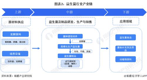 预见2023 2023年中国益生菌行业全景图谱 附市场规模 竞争格局和发展前景等