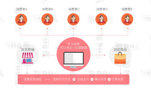 B2B2C多用户商城系统与C2C商城系统开发 功能、渠道、架构与商业模式整合方案