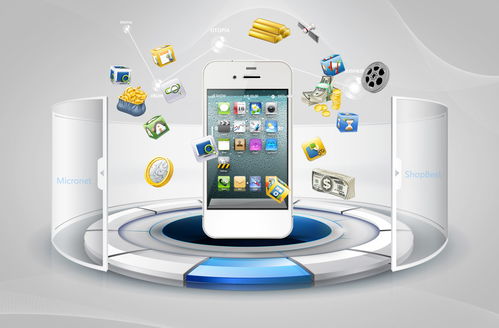 曾经的电商朋友圈，如今说分就分 C2C商城系统开发的变迁与挑战