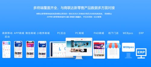 如何选择B2B商城定制公司与B2C商城系统开发服务商