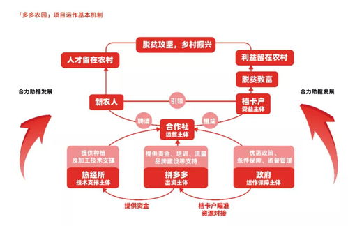 拼多多找到新出路，玺承电商资讯聚焦B2C商城系统开发