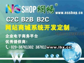 B2B2C与C2C商城系统开发 模式解析与关键技术